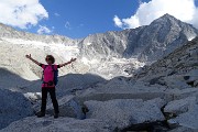 50 Vedretta del Venerocolo sul versante nord dell'Adamello 